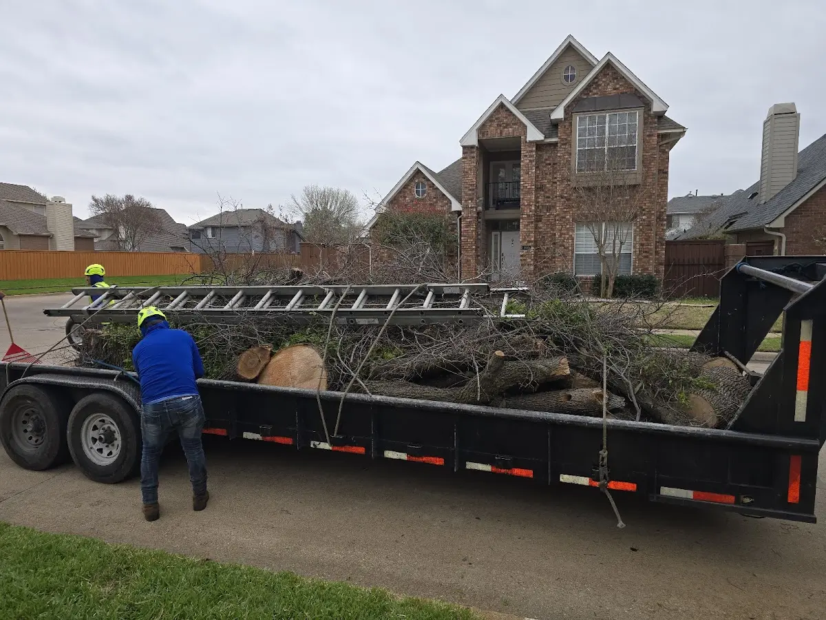 Expert Tree Fertilization with proper safety equipment in Ocean Isle Beach